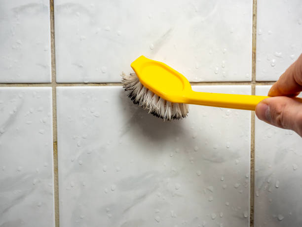 Best Mold Remediation  in San Luis, AZ